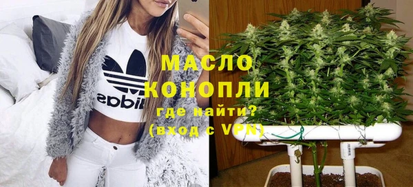 дживик Пересвет