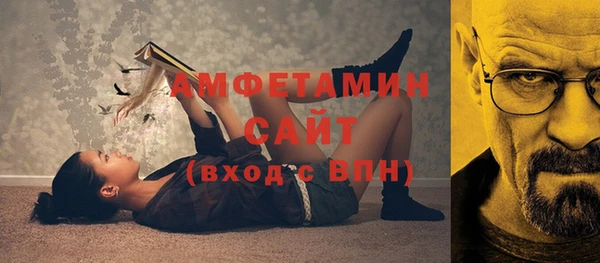дживик Пересвет