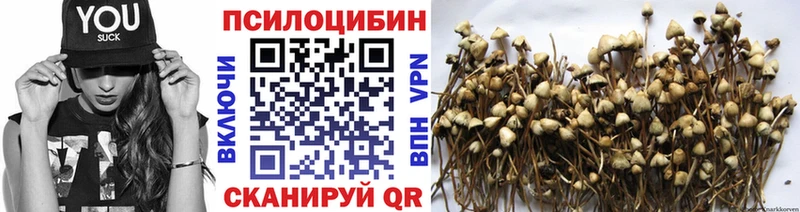 Псилоцибиновые грибы мухоморы  hydra маркетплейс  Белоозёрский  где можно купить наркотик 