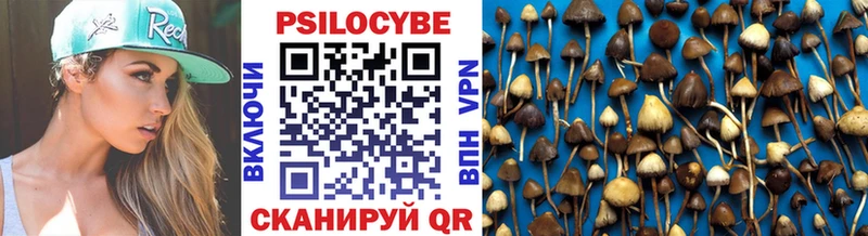 Галлюциногенные грибы прущие грибы Белоозёрский